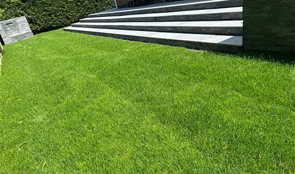 Landscaping, Ponds & Turfing