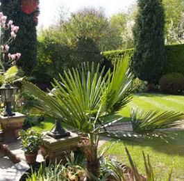 Cassey Landscapes - Creative and Distinctive Gardens: Click Here To View Larger Image
